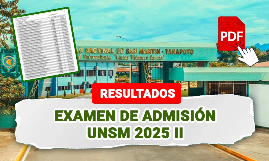 Resultados UNSM 2025 II